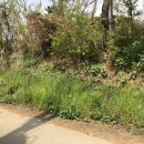 화성대표공인중개사사무소 이미지