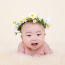 이유스튜디오 - 제주시 도남서길 13 | 이유스튜디오