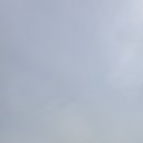 미미짬뽕 이미지