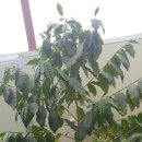 황금누리농장 이미지