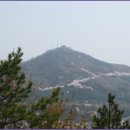 초록숲 이미지