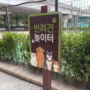 운동화목욕하는날 | 부천 송내 반려견 놀이터 강아지 무료 운동장 야외 후기