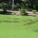 수역이길 이미지