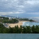오션뷰 - 중구 | 오션뷰