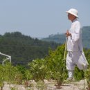 역사기행 코스 이미지