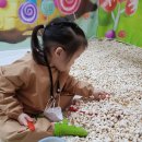 과자나라 이미지