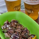 펜타비트 | 2025경기인디뮤직페스티벌 후기 : 유명하지 않아서 유명한 페스티벌을 아시나요.