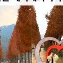 예당관광지 주차장 이미지