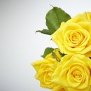 예담산부인과의원 이미지