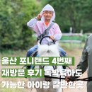 청량운동장 운동시설 | 울산 포니랜드 4번째 재방문 후기독박육아도 가능한 아이랑 갈만한곳