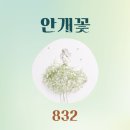 🎯✈️함께하는 방포방 7월11일(화)🌸 안개꽃🌸 출하출부 및 마지막 출부 올립니다 이미지