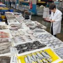 모두안전 이미지