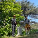 무성산(613.9m,공주)·무성산성,마곡사