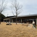 들꽃풍경 | 담양 들꽃숲 카페 방문 후기｜아이랑 가기 좋았어요