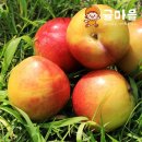 자두 - 부산진구 중앙대로 737 | 자두