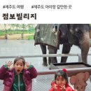 제주 점보빌리지, 티켓 최저가 안내, 내돈내산 후기 (제주 아이랑 갈만한 곳)