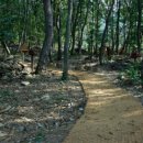 26470-01-21-307 | 전자휴 공주산림 휴양마을