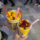 요리조리 동화요리사B | #16 내일이면인류가잃어버릴멸종위기사랑.zip