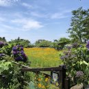 동광리-9 이미지