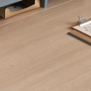 스테이오로지 이미지