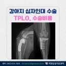 리엔동물의료센터 이미지