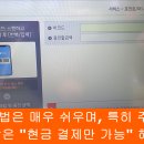 머니토스 이미지