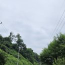 2025/08/23 토정라(천화대번짱님~관철리임도,소리산^^75km) 이미지
