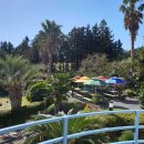 제주카사블랑카 이미지