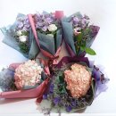 관저동 문예회관 이미지