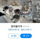 잘어울리개 네이버블로그