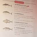 참다랑어막주는집참치정육식당 이미지