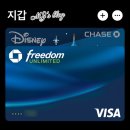 체이스약국 | 미국 랜딩 10일 만에 체이스 Freedom Unlimited 신용카드 승인 후기