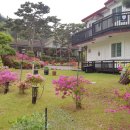 인앤인 펜션 이미지