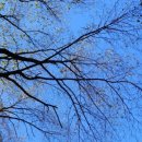 은판나비화장실 이미지