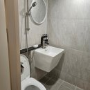 파루스셀라 성수 이미지