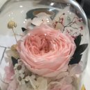 햇빛병원 이미지