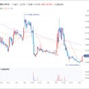 에스엘에스바이오 이미지