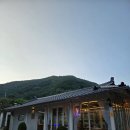 오스테리아 담안(osteria daman)