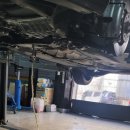 수컷웅샵 이미지