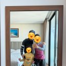 [아이와 나트랑 여행] 4박 6일 일정 DAY 4. 미니비치 호핑투어, 알마리조트 수페리어스위트룸, 리조트...