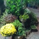 완산-131 이미지