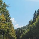 경남 고성 여행 숙소 한산 마리나 리조트 별장동 203호 후기