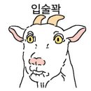 프렌즈풍선