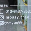 이끼핀나무