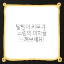 느린미학 이미지