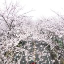 제일원떡방앗간 이미지
