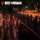 협동조합 악양곶간 | 2024 함안 낙화놀이 후기