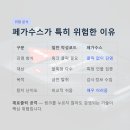 메타그룹