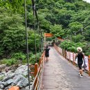 철구소펜션 이미지