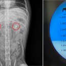 히어로동물병원 이미지